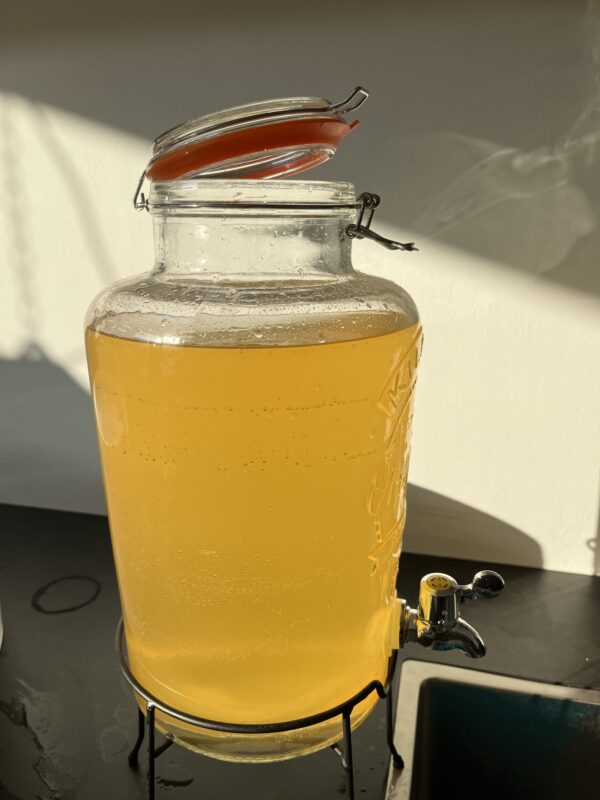 Sun Ray Cider 2023 - Image 4